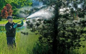 Garpiel Group has the perfect treatment to control Rhizosphaera needlecast