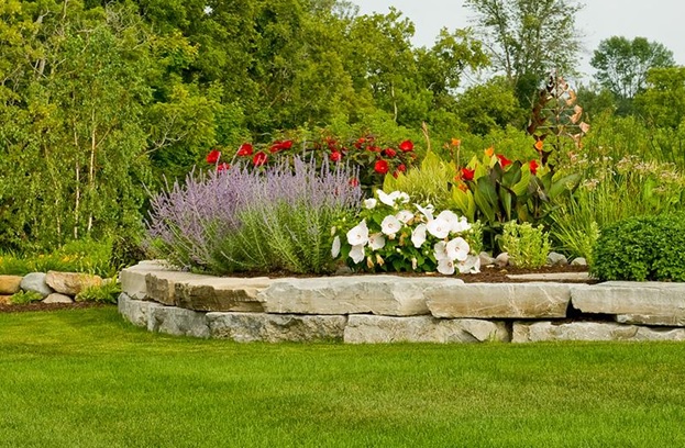 weed management services