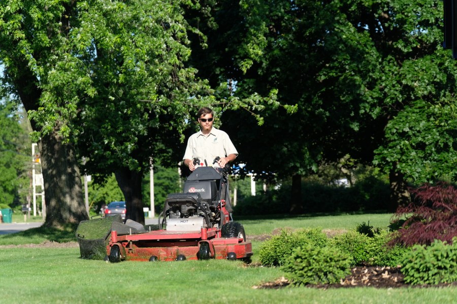 Proper thatching and mowing in Michigan