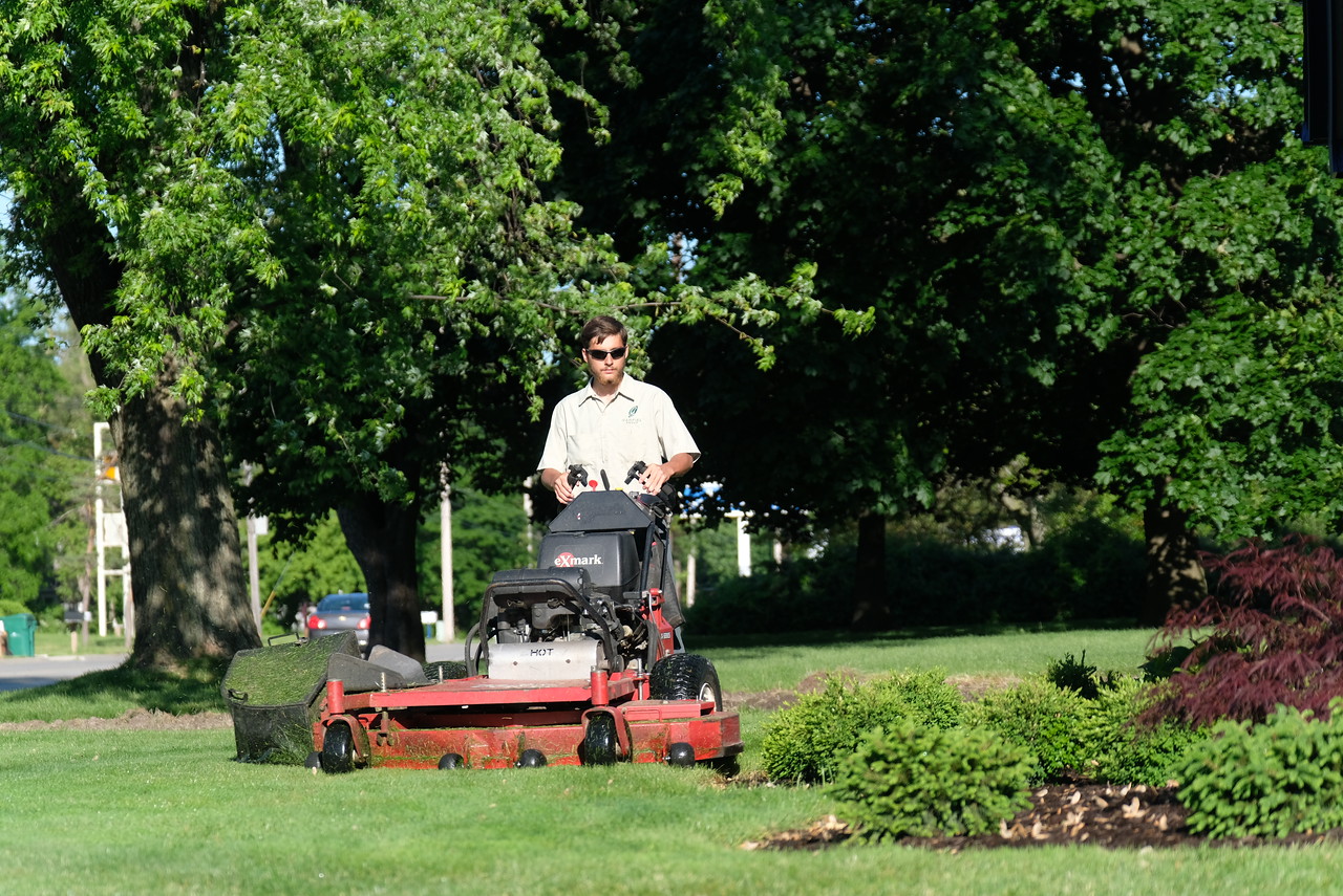 Proper thatching and mowing in Michigan