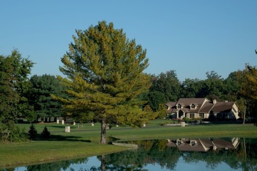 tree health care