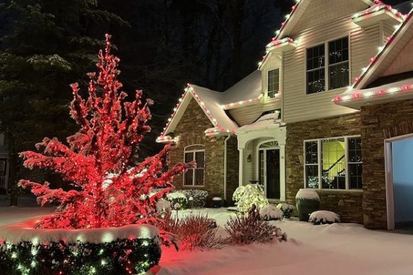 Professional Christmas light installation on a residential home in Midland, Michigan featuring warm white LED lights along the roofline, illuminated shrubs, and tree trunk wraps, installed by Garpiel Group.