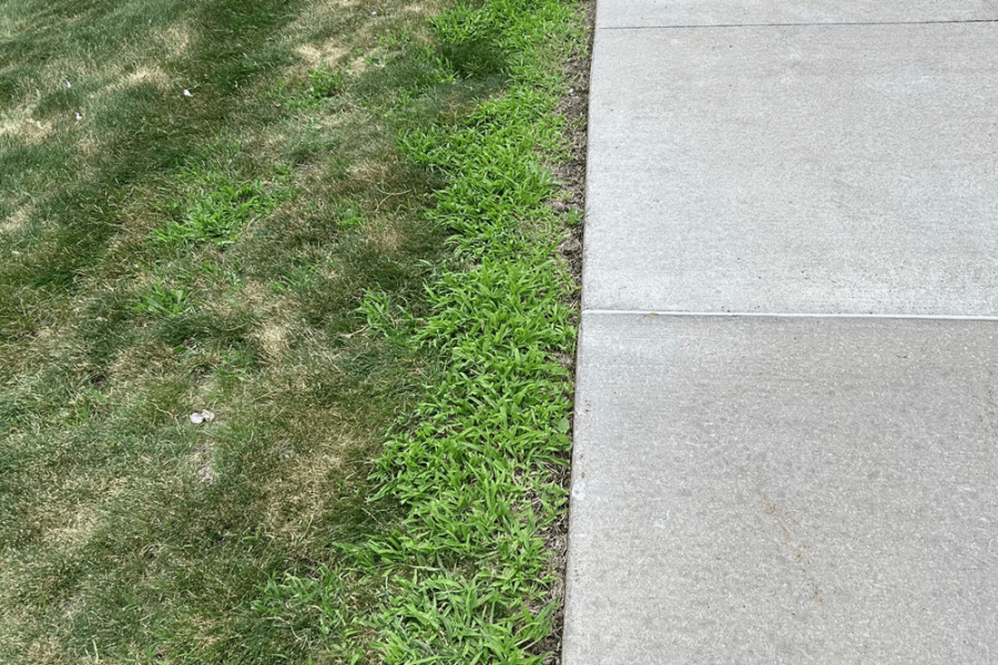 Crabgrass Control