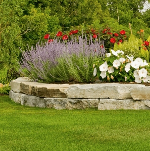 Lawn Aeration 