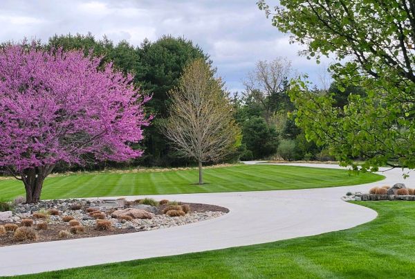 lawn fertilization service in Saginaw MI